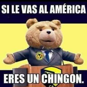 Meet your Posher, Luis